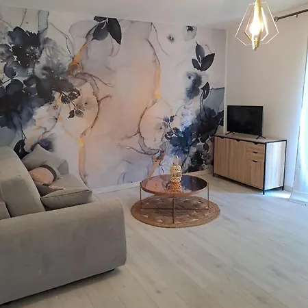 T2 A 2min Du Centre +parking Apartment